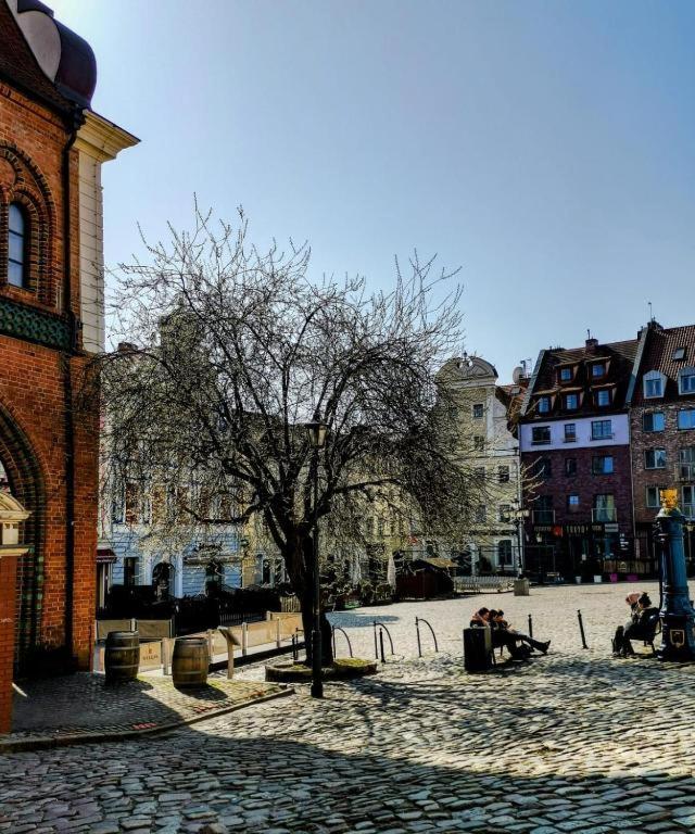 5000 Rynek Sienny Stare Bulwary No 1 Apartment
